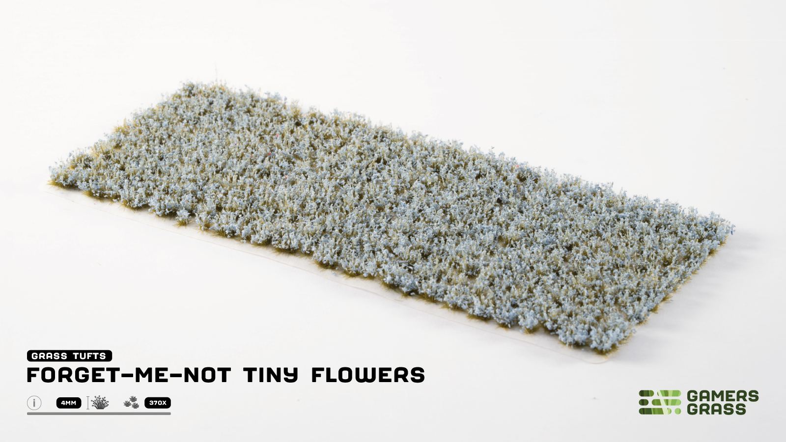 Gamers Grass GGFS-FMN - Forget-Me-Not Tiny Flowers