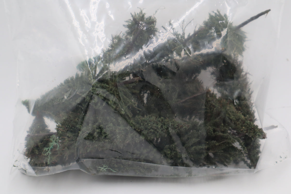 Tree Lot 2-Second hand-M20340