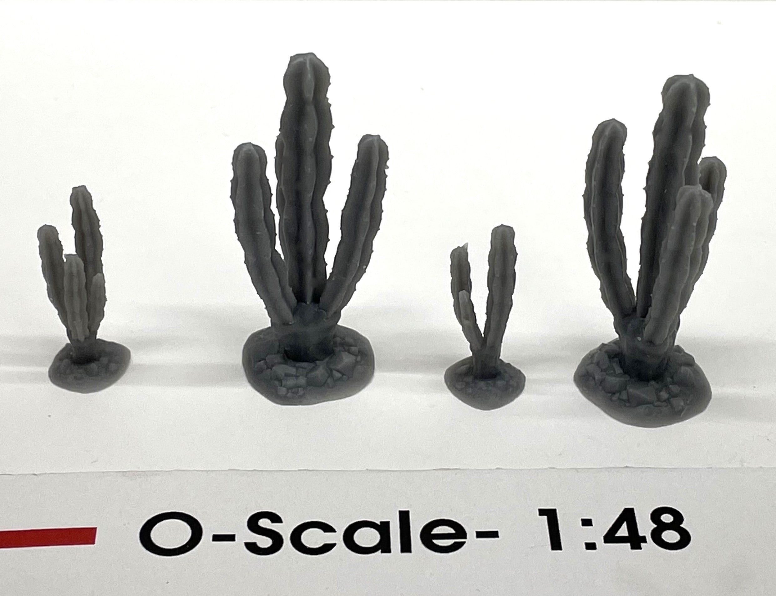 PPM-33569 - Cacti: All Other Cacti- Assortment (3-Pack)
