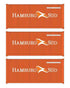 Walthers HO 949-18052 - SceneMaster - 20' Corrugated Container (3 Pack) "Hamburg Sud"
