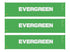 Walthers HO 949-18250 - SceneMaster - 40' Hi Cube Corrugated Container "Evergreen" (3 Pack)