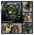 Games Workshop 49-14 - Warhammer 40,000 - Necrons: Canoptek Wraiths