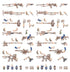 Games Workshop 300-72 - Necromunda - Cawdor Weapons & Upgrades