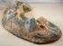 Atherton Scenics SBE-1 - WWII - Sandbagged Beach Bunker Emplacement Cratered-Second hand-M7367-3