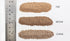 Woodland Scenics B1373 - Buff Ballast Shaker (Fine)