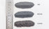 Woodland Scenics B1375 - Gray Ballast Shaker (Fine)
