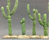 Grand Central Scenery T46 - 2"-4" Assorted Realistic Cactus (7-Pack)