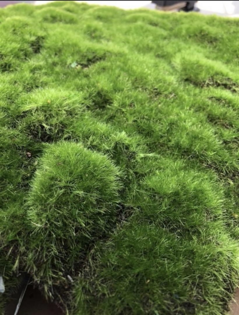 Grand Central Scenery GM1 - Grass Mat "Spring Green" 12" x 12"