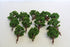 Green Tree Lot Set of 12-Second hand-M6900