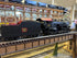 Lionel 2431991 - Legacy 4-6-0 Steam Locomotive "Chicago, Burlington & Quincy" #919 - Custom Run for MrMuffin'sTrains