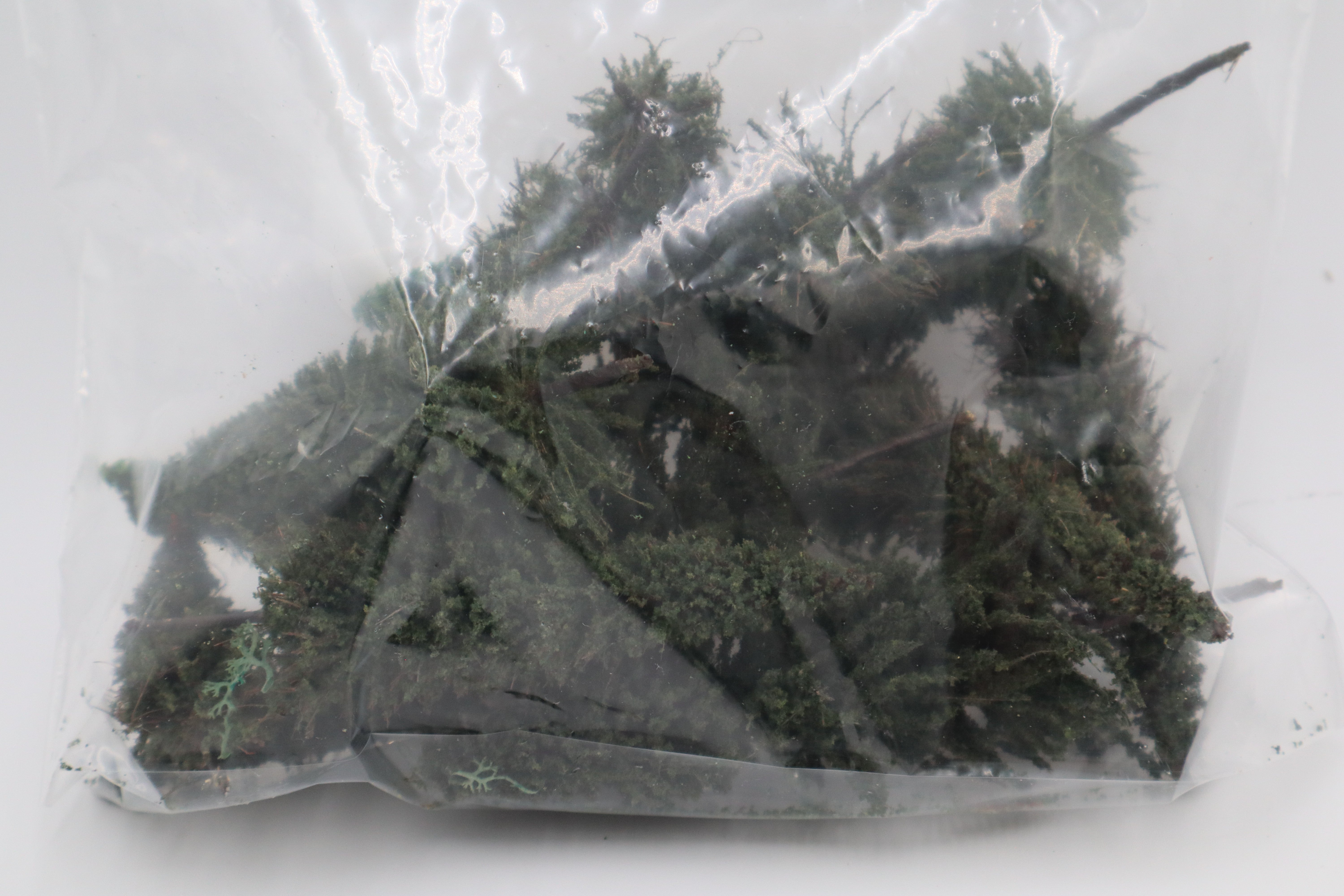 Tree Lot 2-Second hand-M20340