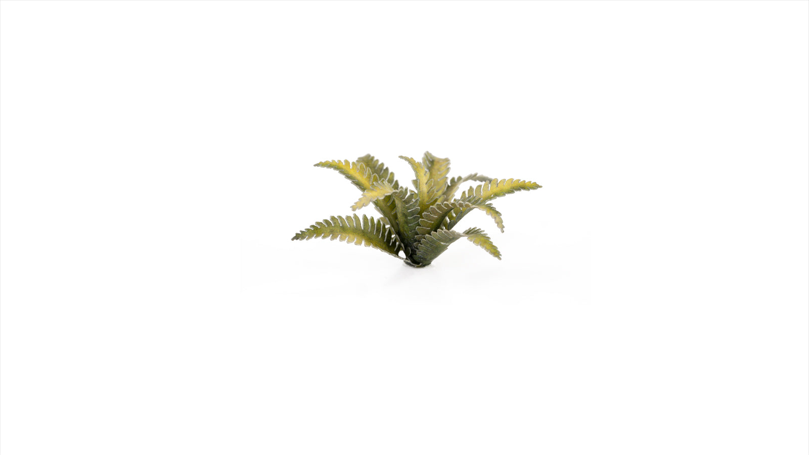 Gamers Grass GGLP-DF - Laser Plants - Deer Fern