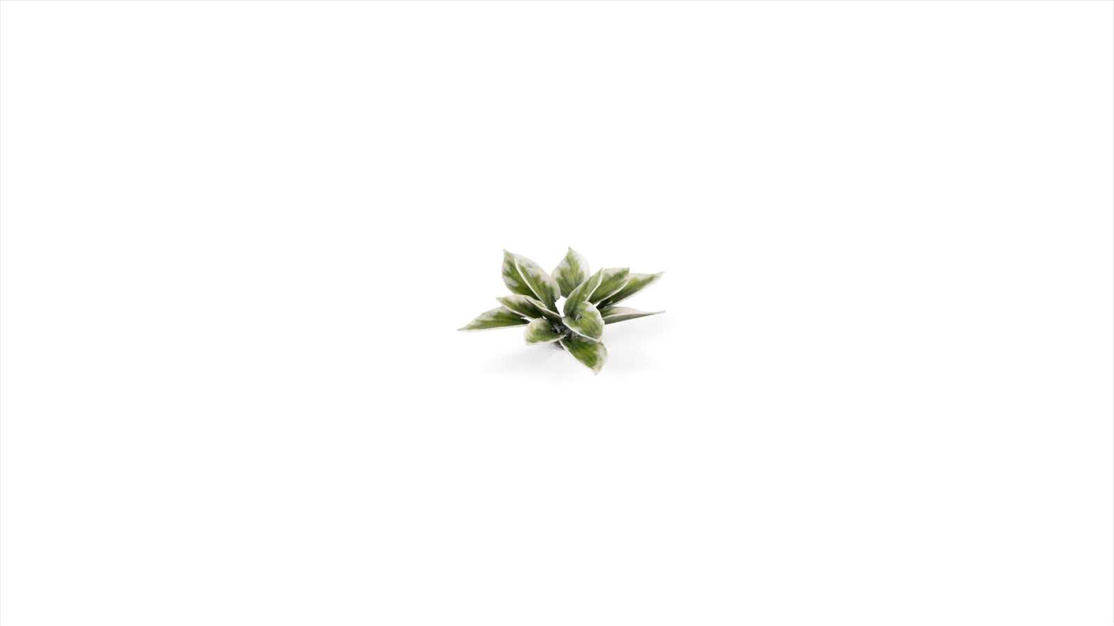 Gamers Grass GGLP-PL - Laser Plants - Plantain Lily