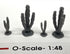 PPM-33569 - Cacti: All Other Cacti- Assortment (3)