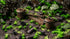 Gamers Grass GGBB-SCO - Basing Bits - Spaceship Corridor