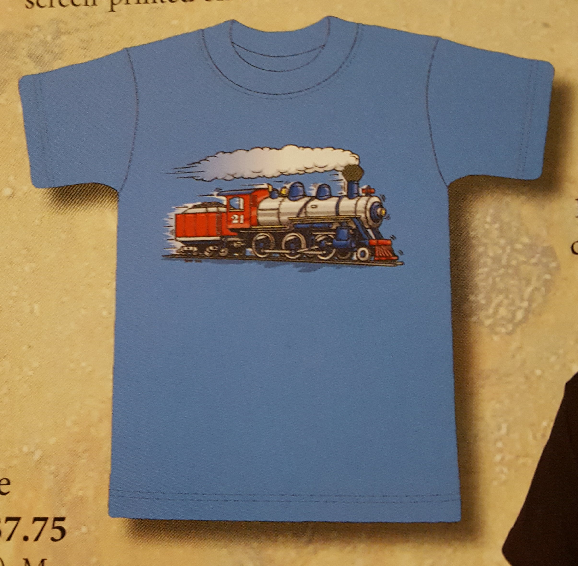 T-Shirt - Full Steam Ahead - Youth - MrMuffin'sTrains