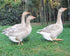 StoneAxe Miniatures - O Scale Geese (4-Pack)