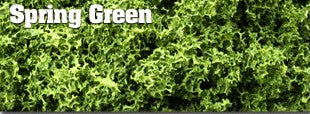Scenic Express EX861B - Spring SuperTurf - 32 oz. - MrMuffin'sTrains