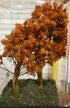 Grand Central Scenery T50 - 5"-8" Medium Fall Maple Trees (2-Pack)